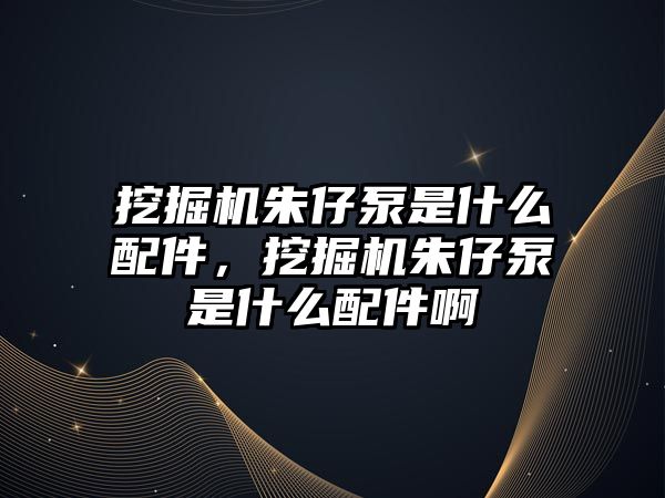 挖掘機朱仔泵是什么配件，挖掘機朱仔泵是什么配件啊