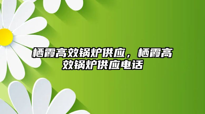 棲霞高效鍋爐供應(yīng)，棲霞高效鍋爐供應(yīng)電話