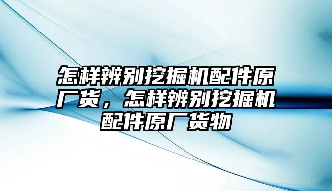 怎樣辨別挖掘機配件原廠貨，怎樣辨別挖掘機配件原廠貨物