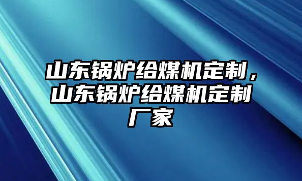 山東鍋爐給煤機(jī)定制，山東鍋爐給煤機(jī)定制廠家