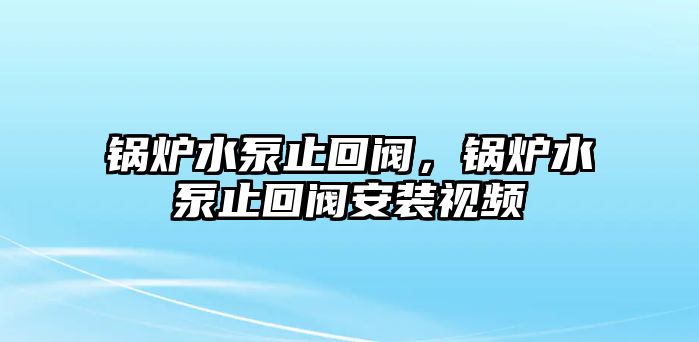 鍋爐水泵止回閥，鍋爐水泵止回閥安裝視頻