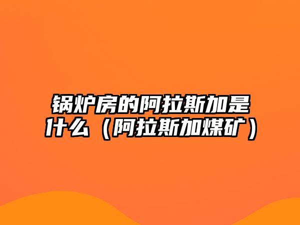 鍋爐房的阿拉斯加是什么（阿拉斯加煤礦）