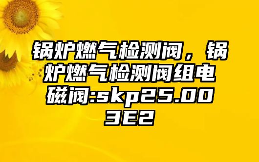 鍋爐燃氣檢測閥，鍋爐燃氣檢測閥組電磁閥:skp25.003E2