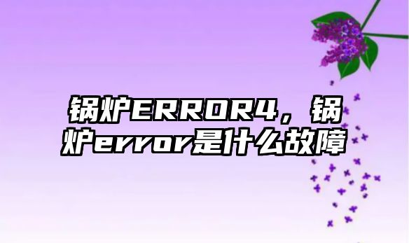 鍋爐ERROR4，鍋爐error是什么故障