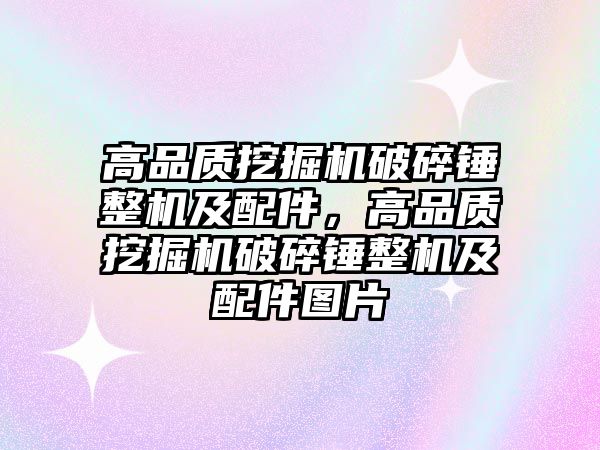 高品質(zhì)挖掘機破碎錘整機及配件，高品質(zhì)挖掘機破碎錘整機及配件圖片