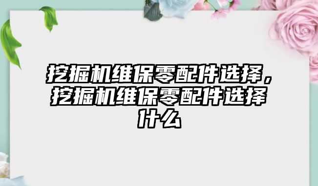 挖掘機(jī)維保零配件選擇，挖掘機(jī)維保零配件選擇什么