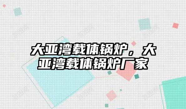 大亞灣載體鍋爐，大亞灣載體鍋爐廠家