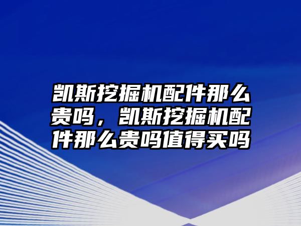 凱斯挖掘機(jī)配件那么貴嗎，凱斯挖掘機(jī)配件那么貴嗎值得買(mǎi)嗎