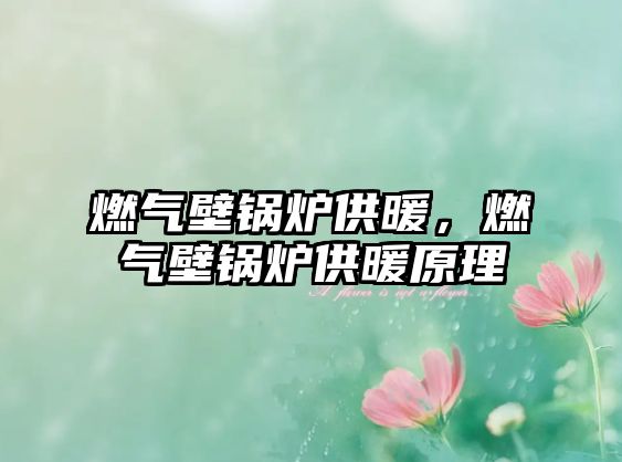 燃氣壁鍋爐供暖，燃氣壁鍋爐供暖原理