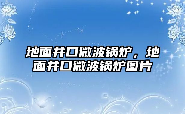 地面井口微波鍋爐，地面井口微波鍋爐圖片