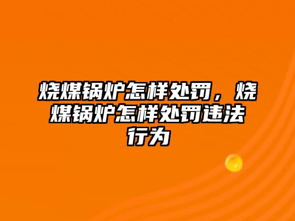 燒煤鍋爐怎樣處罰，燒煤鍋爐怎樣處罰違法行為