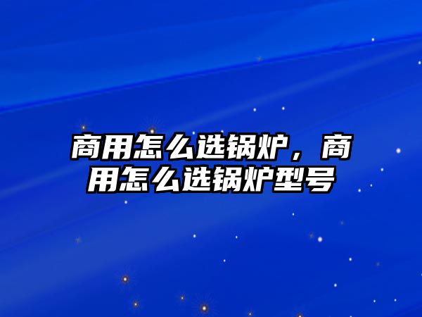 商用怎么選鍋爐，商用怎么選鍋爐型號