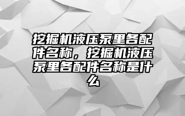 挖掘機液壓泵里各配件名稱，挖掘機液壓泵里各配件名稱是什么