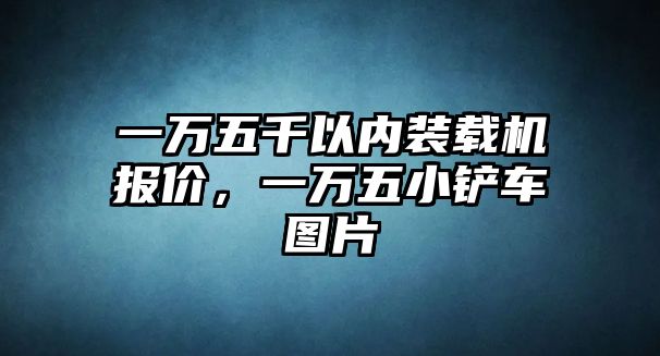 一萬五千以內(nèi)裝載機(jī)報(bào)價(jià)，一萬五小鏟車圖片