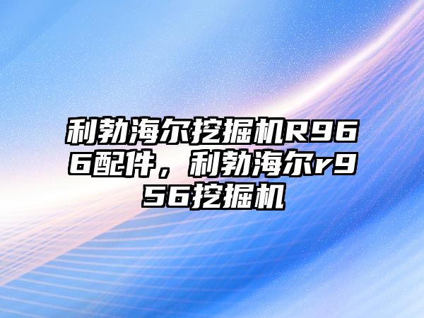 利勃海爾挖掘機(jī)R966配件，利勃海爾r956挖掘機(jī)