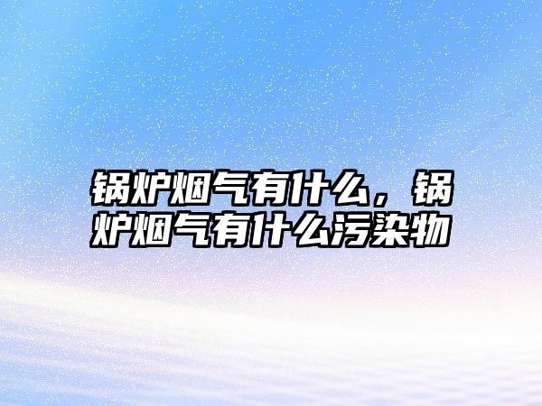 鍋爐煙氣有什么，鍋爐煙氣有什么污染物