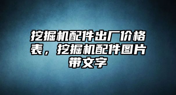 挖掘機配件出廠價格表，挖掘機配件圖片帶文字