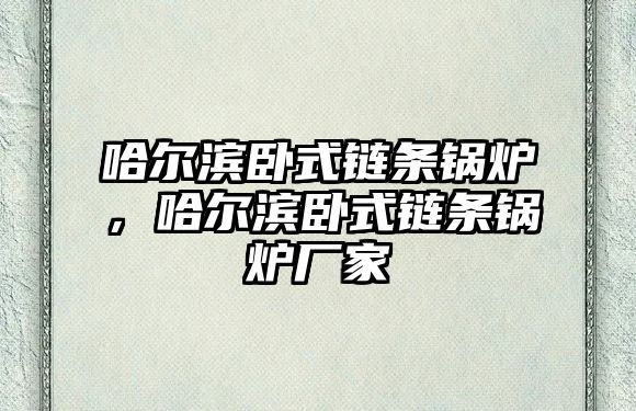 哈爾濱臥式鏈條鍋爐，哈爾濱臥式鏈條鍋爐廠家