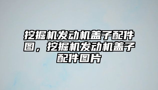 挖掘機發(fā)動機蓋子配件圖，挖掘機發(fā)動機蓋子配件圖片