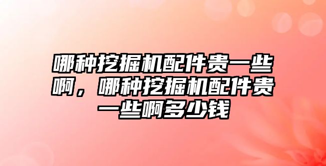 哪種挖掘機配件貴一些啊，哪種挖掘機配件貴一些啊多少錢