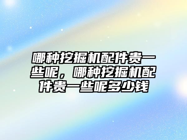 哪種挖掘機(jī)配件貴一些呢，哪種挖掘機(jī)配件貴一些呢多少錢(qián)