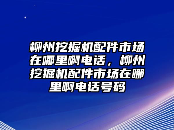 柳州挖掘機配件市場在哪里啊電話，柳州挖掘機配件市場在哪里啊電話號碼