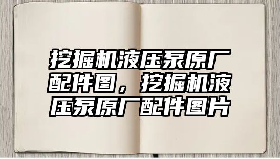 挖掘機液壓泵原廠配件圖，挖掘機液壓泵原廠配件圖片