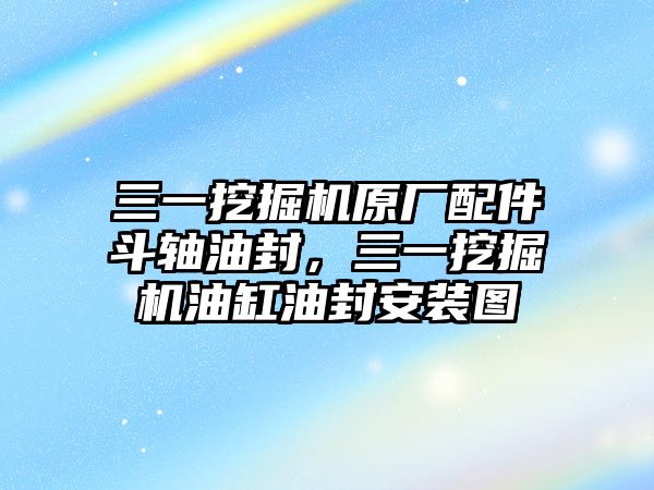 三一挖掘機(jī)原廠配件斗軸油封，三一挖掘機(jī)油缸油封安裝圖