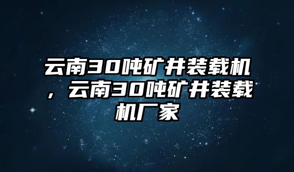 云南30噸礦井裝載機(jī)，云南30噸礦井裝載機(jī)廠家