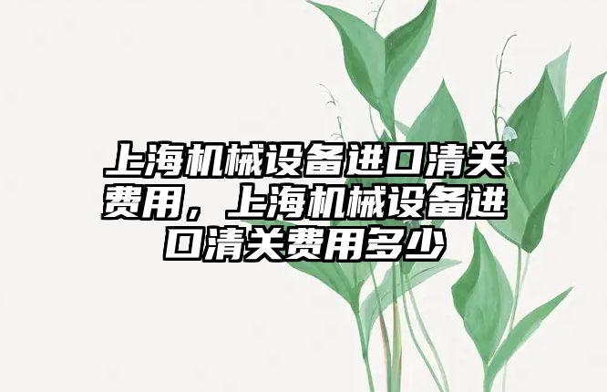 上海機械設備進口清關費用，上海機械設備進口清關費用多少