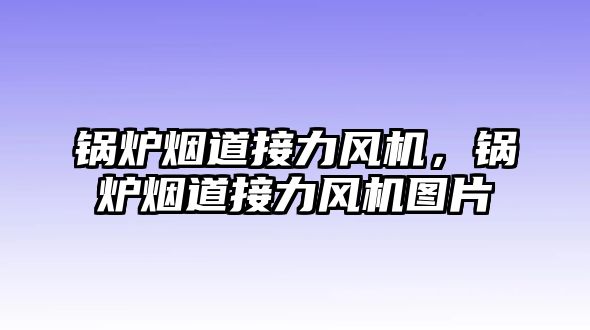 鍋爐煙道接力風(fēng)機，鍋爐煙道接力風(fēng)機圖片