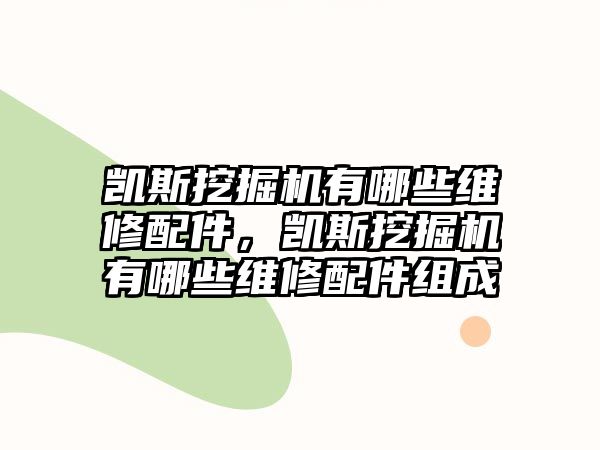 凱斯挖掘機有哪些維修配件，凱斯挖掘機有哪些維修配件組成