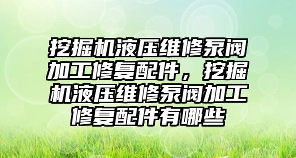 挖掘機液壓維修泵閥加工修復(fù)配件，挖掘機液壓維修泵閥加工修復(fù)配件有哪些