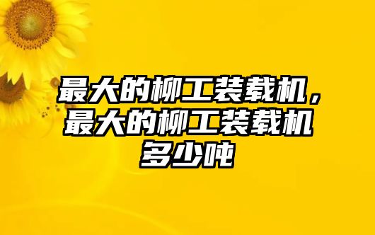 最大的柳工裝載機(jī)，最大的柳工裝載機(jī)多少?lài)?/>	
								</i>
								<p class=