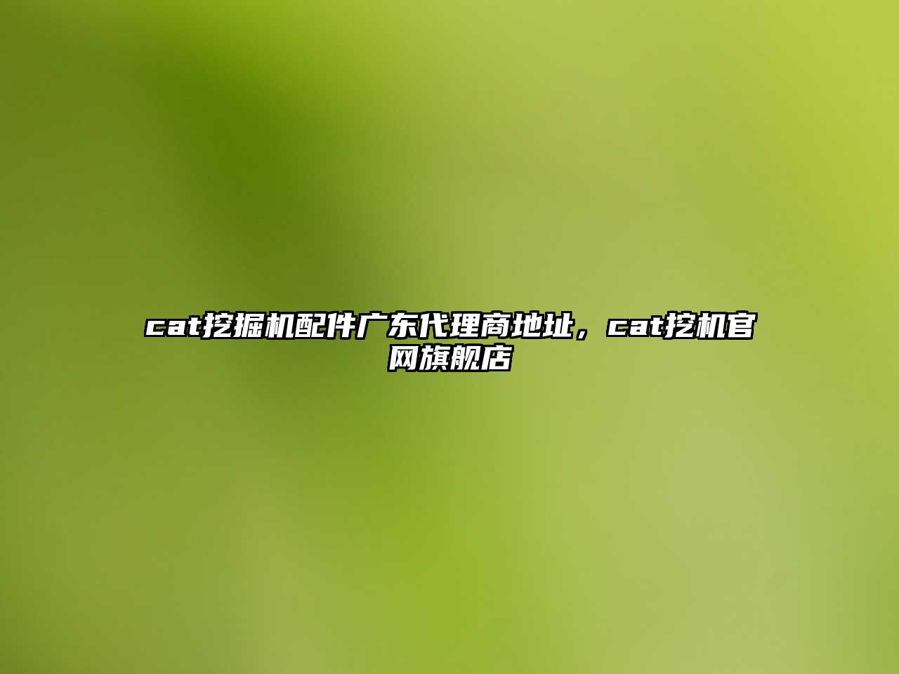 cat挖掘機(jī)配件廣東代理商地址，cat挖機(jī)官網(wǎng)旗艦店