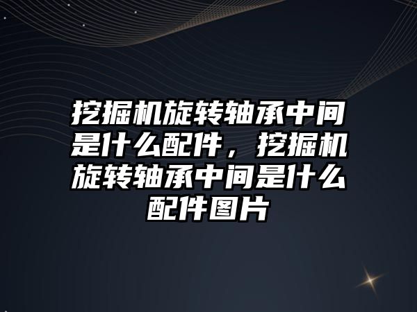 挖掘機旋轉(zhuǎn)軸承中間是什么配件，挖掘機旋轉(zhuǎn)軸承中間是什么配件圖片