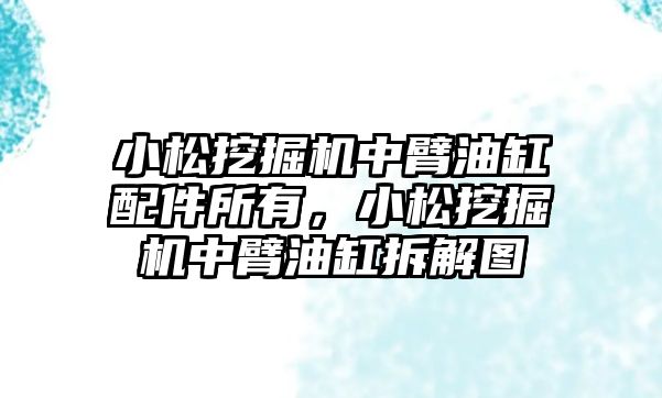 小松挖掘機中臂油缸配件所有，小松挖掘機中臂油缸拆解圖