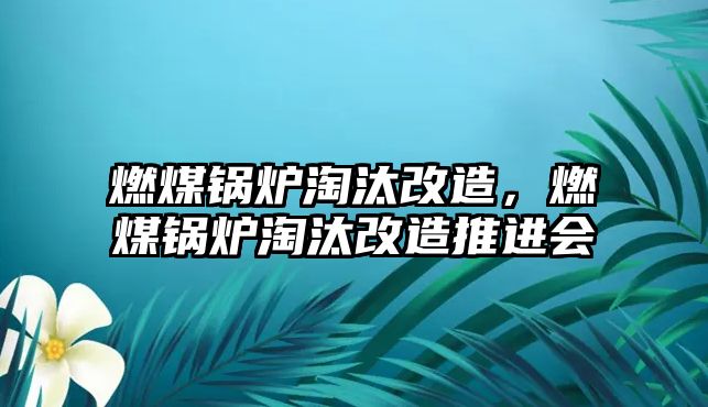 燃煤鍋爐淘汰改造，燃煤鍋爐淘汰改造推進(jìn)會(huì)