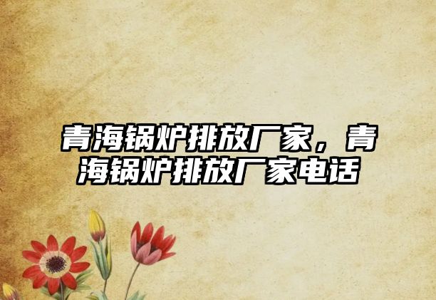 青海鍋爐排放廠家，青海鍋爐排放廠家電話