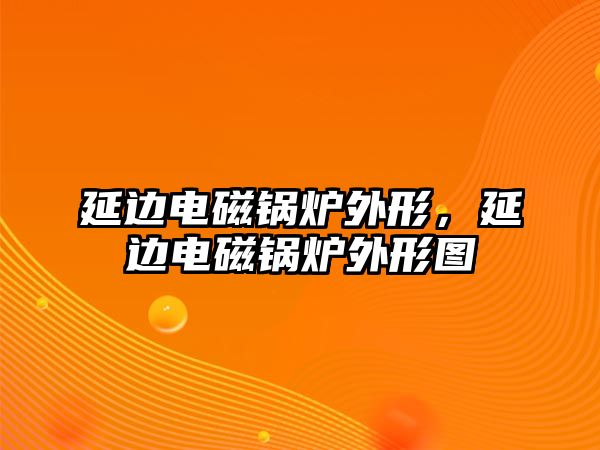 延邊電磁鍋爐外形，延邊電磁鍋爐外形圖