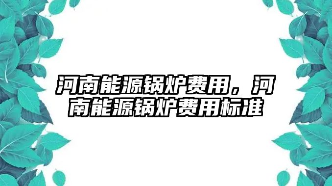 河南能源鍋爐費(fèi)用，河南能源鍋爐費(fèi)用標(biāo)準(zhǔn)