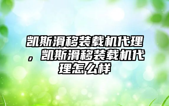 凱斯滑移裝載機代理，凱斯滑移裝載機代理怎么樣