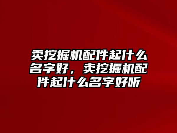 賣挖掘機(jī)配件起什么名字好，賣挖掘機(jī)配件起什么名字好聽(tīng)