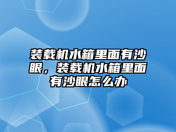 裝載機水箱里面有沙眼，裝載機水箱里面有沙眼怎么辦