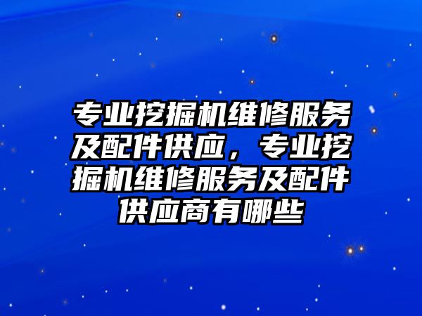 專業(yè)挖掘機維修服務及配件供應，專業(yè)挖掘機維修服務及配件供應商有哪些