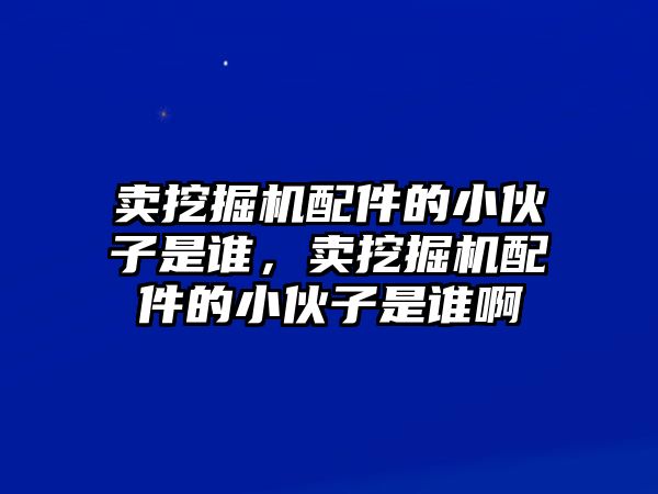 賣挖掘機(jī)配件的小伙子是誰，賣挖掘機(jī)配件的小伙子是誰啊