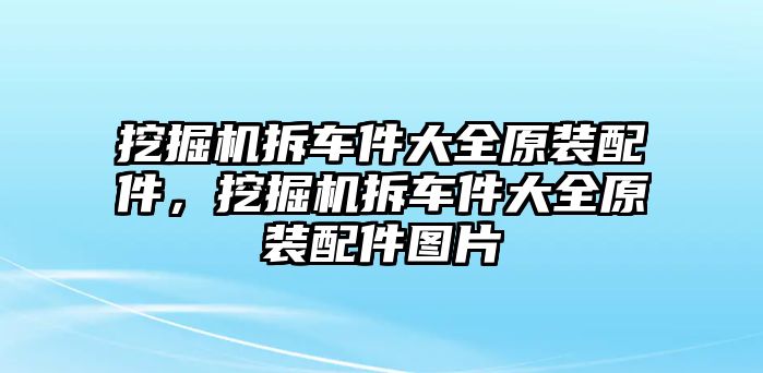 挖掘機拆車件大全原裝配件，挖掘機拆車件大全原裝配件圖片