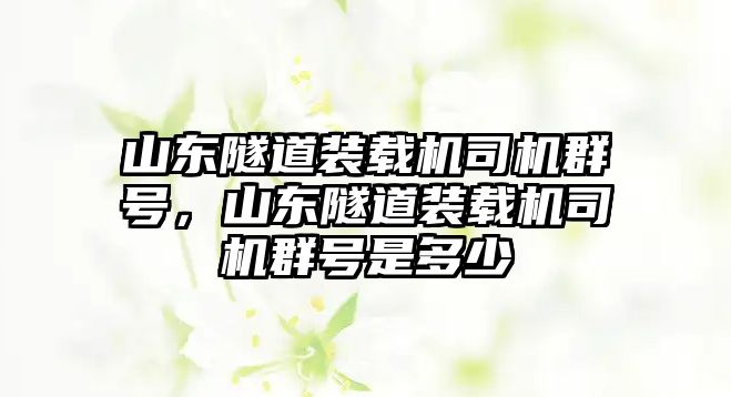 山東隧道裝載機(jī)司機(jī)群號(hào)，山東隧道裝載機(jī)司機(jī)群號(hào)是多少