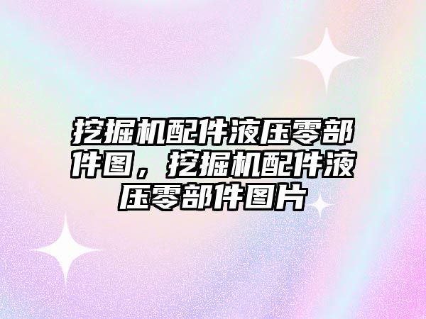 挖掘機配件液壓零部件圖，挖掘機配件液壓零部件圖片