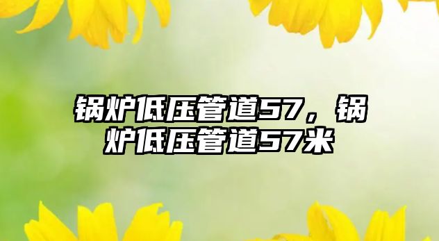 鍋爐低壓管道57，鍋爐低壓管道57米